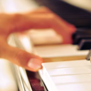 精品视频在线免费观看91
