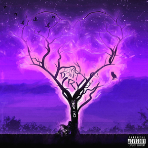 精品视频在线免费观看91
